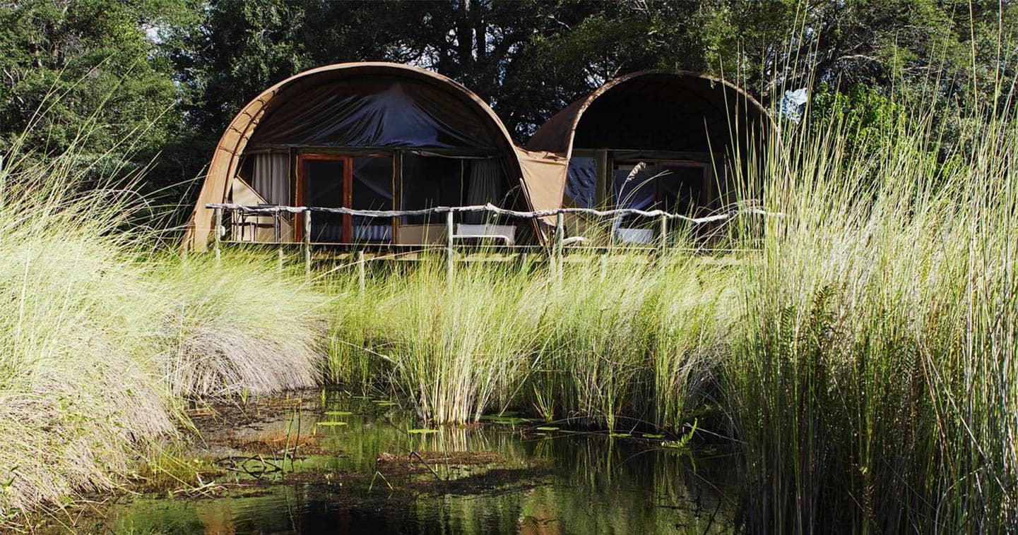 Stay at Camp Okuti in the Moremi Game Reserve for the Ultimate Safari Experience