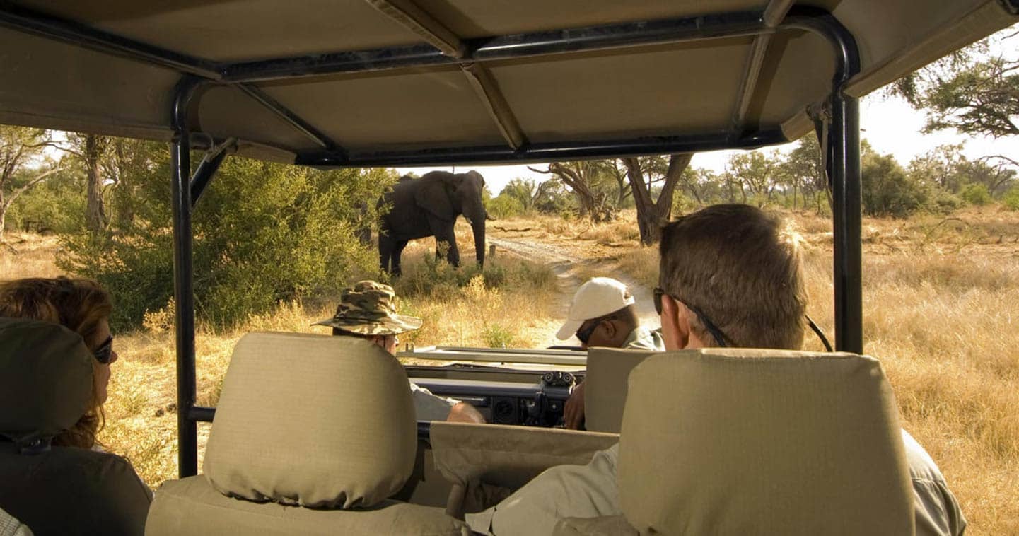 Game Drive in The Chobe National Park