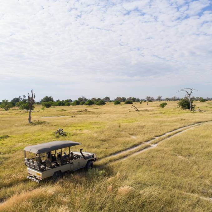 Aerial game drive vehicle crossing Moremi grassland