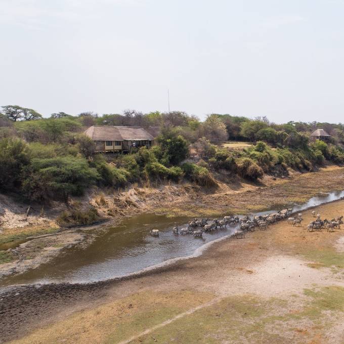 Aerial view of Leroo La Tau lodge above the zebra migration on the Boteti River