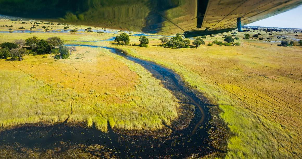 Aerial view of Okavango Delta channels from a charter flight