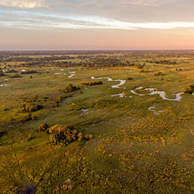 Aerial view of Okavango Delta channels winding through floodplain