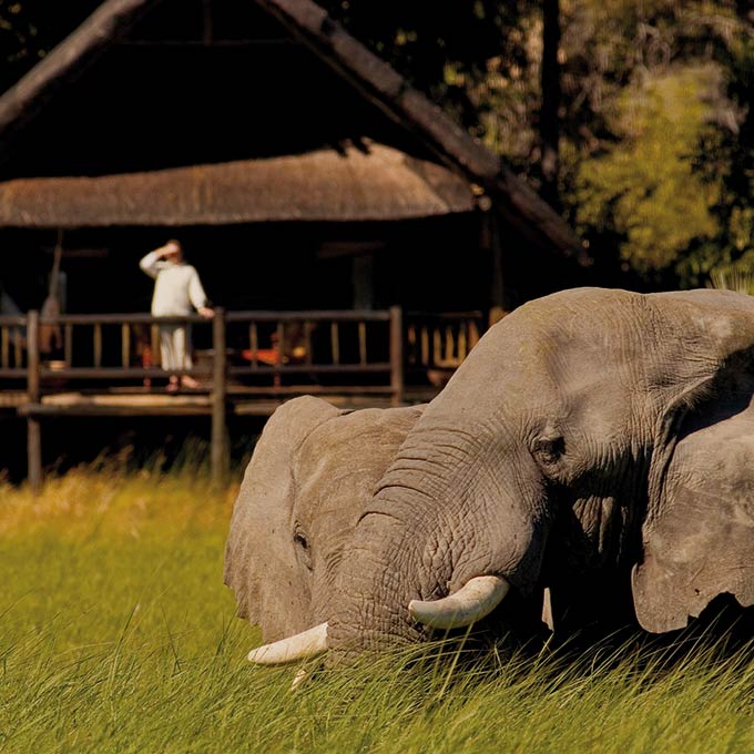 View Belmond Khwai River Lodge in Moremi Game Reserve