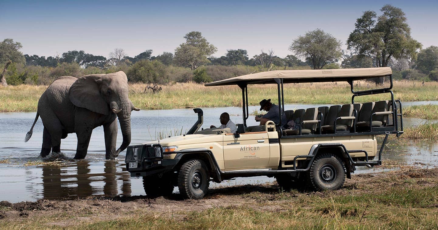 An elephant up close whilst on game drive at Khwai Bush Camp