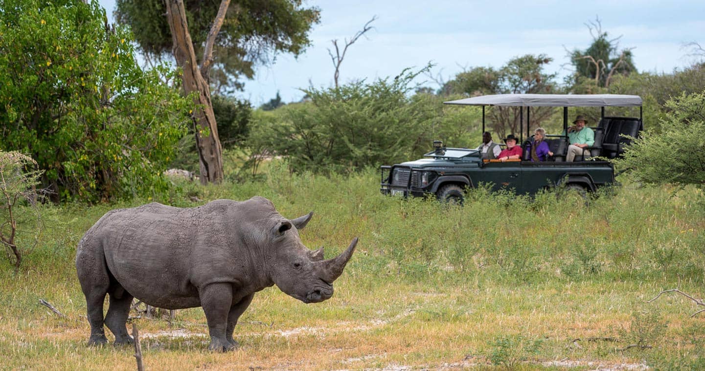 Let Mombo Trails Camp take you on Game Drive in the Moremi Game Reserve