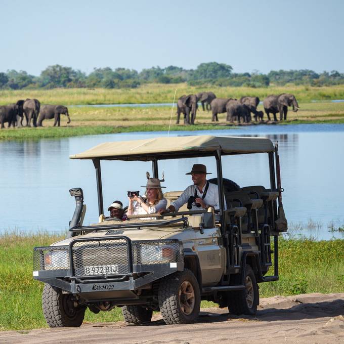 Game drive vehicle with elephant herd along the Chobe River