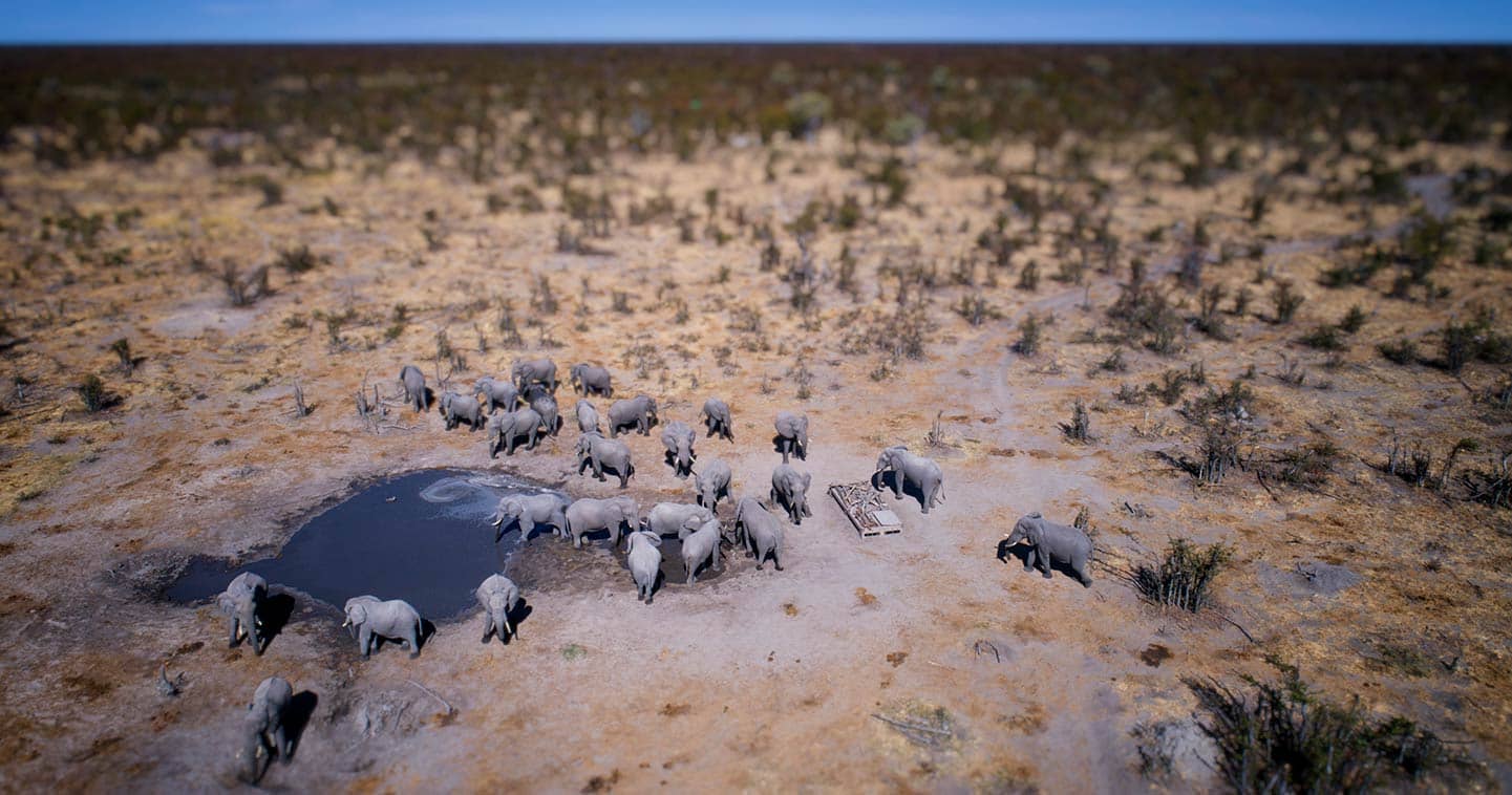 Hyena Pan Lodge in Khwai Private Reserve