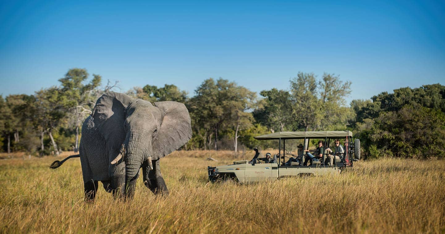 Safari game drive at Elephant Pan in Khwai near Moremi