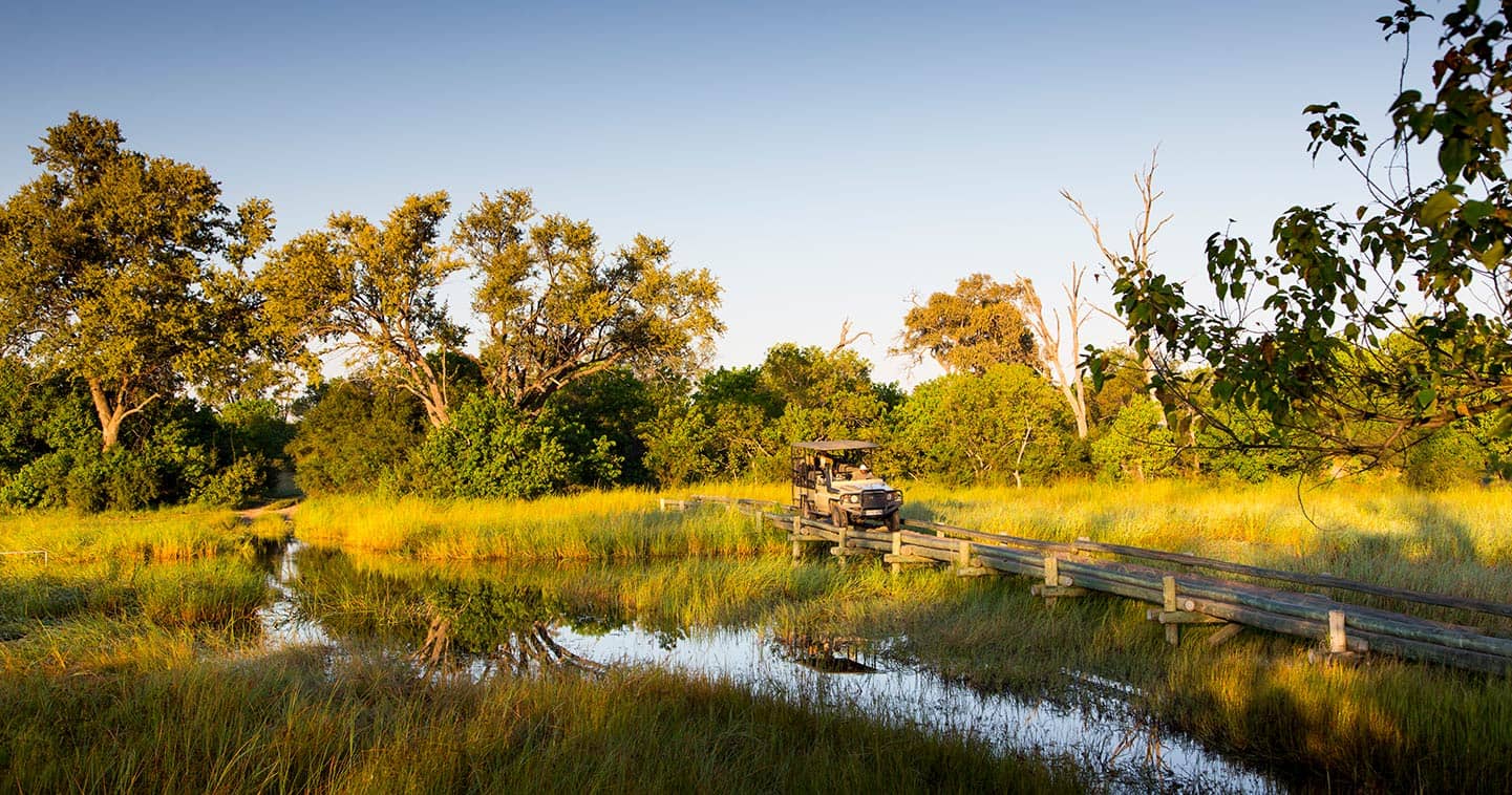Game drive in Khwai Private Game Reserve in Botswana