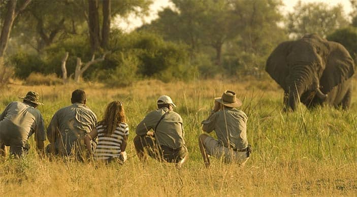 Khwai Tented Camp in Moremi special offer