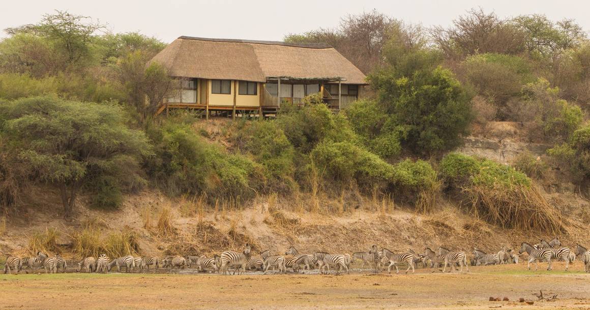 Leroo La Tau chalet with zebra herd on the Boteti River below