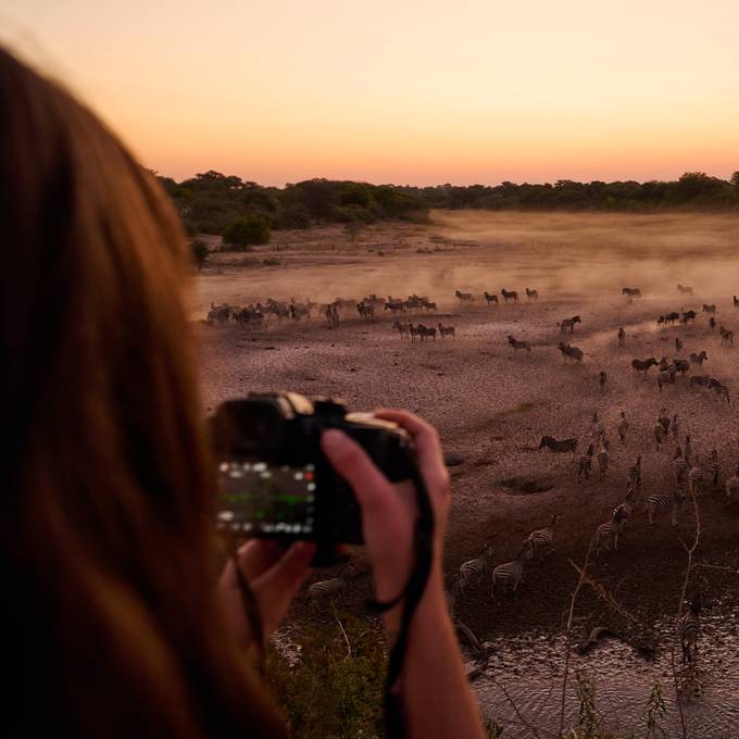 Leroo La Tau guest photographing zebra migration at sunset
