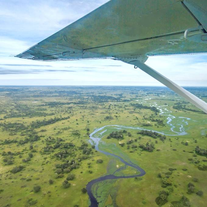 Light aircraft wing view over Okavango Delta waterways