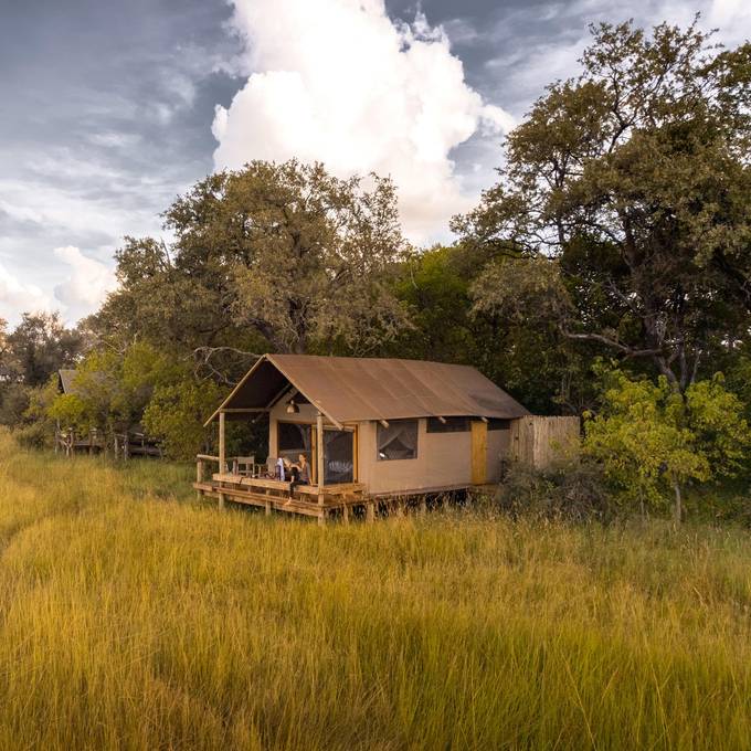 Little Sable tented room overlooking the Khwai grasslands