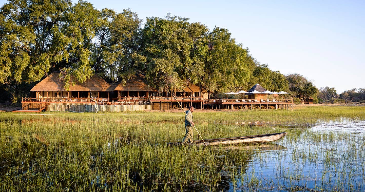 Luxury Lodge Accommodation at Sanctuary Chiefs Camp in the Moremi Game Reserve