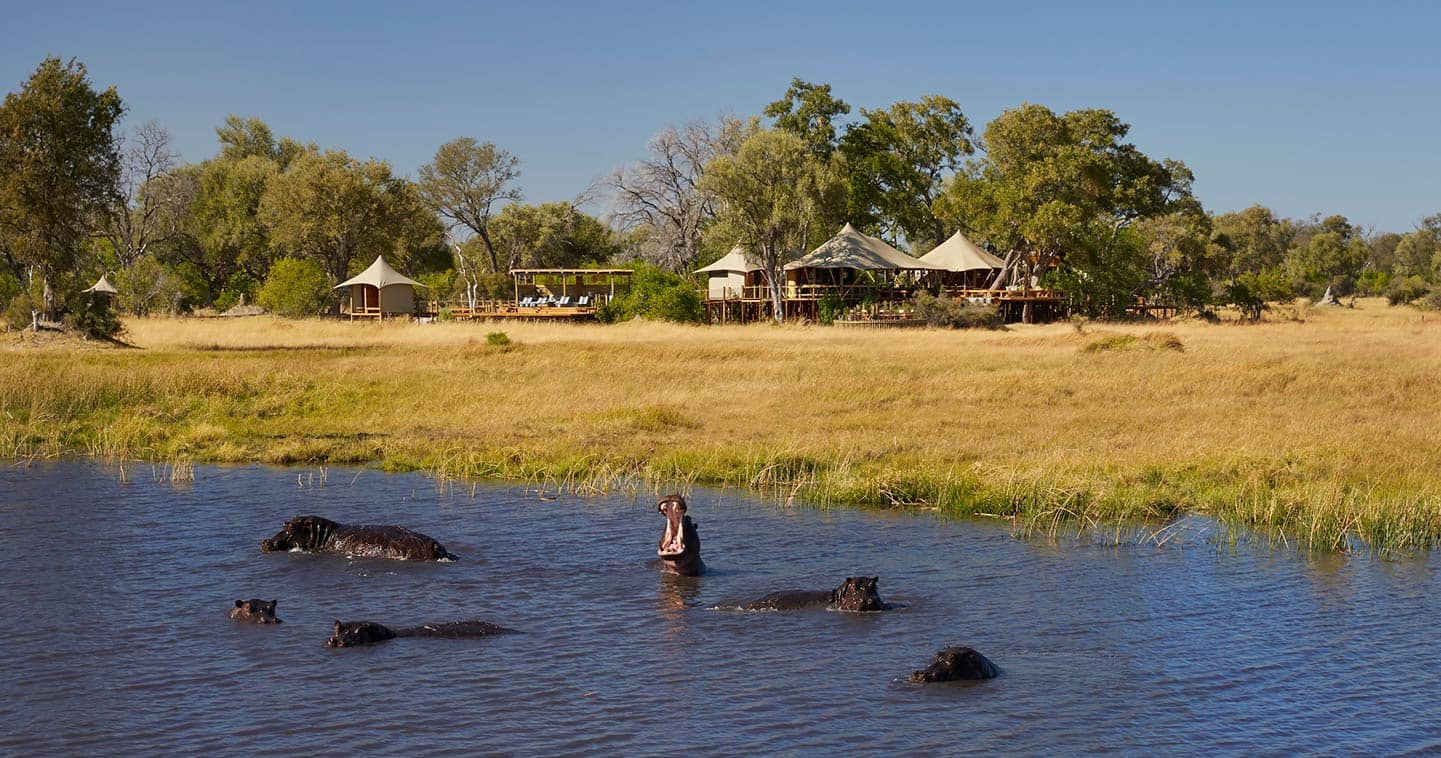 Luxury safari accommodation near Moremi in Khwai Private Game Reserve