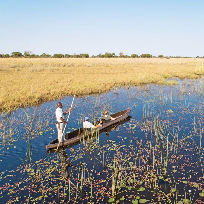 Mokoro canoe gliding through water lilies in the Okavango Delta