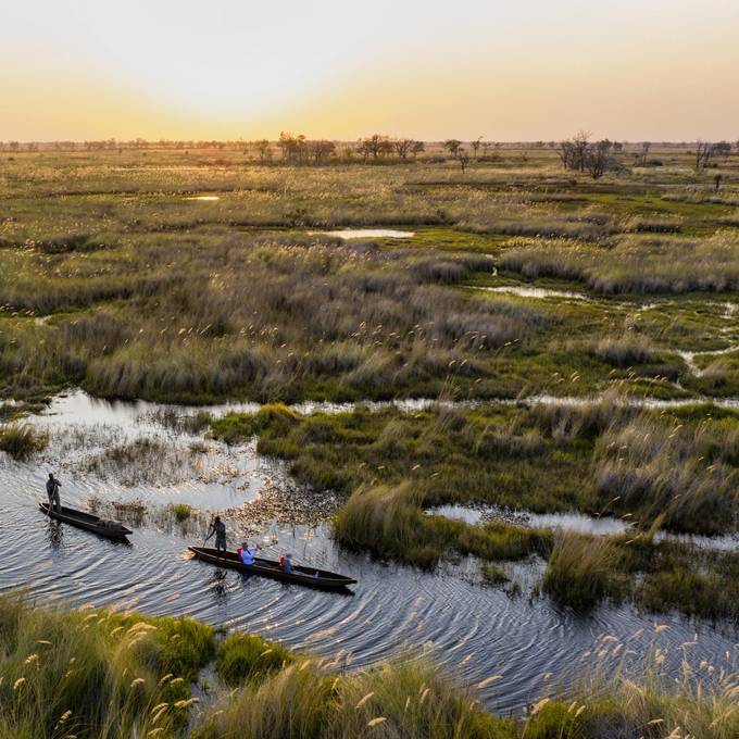 Mokoro canoes gliding through Khwai floodplain channels at sunset