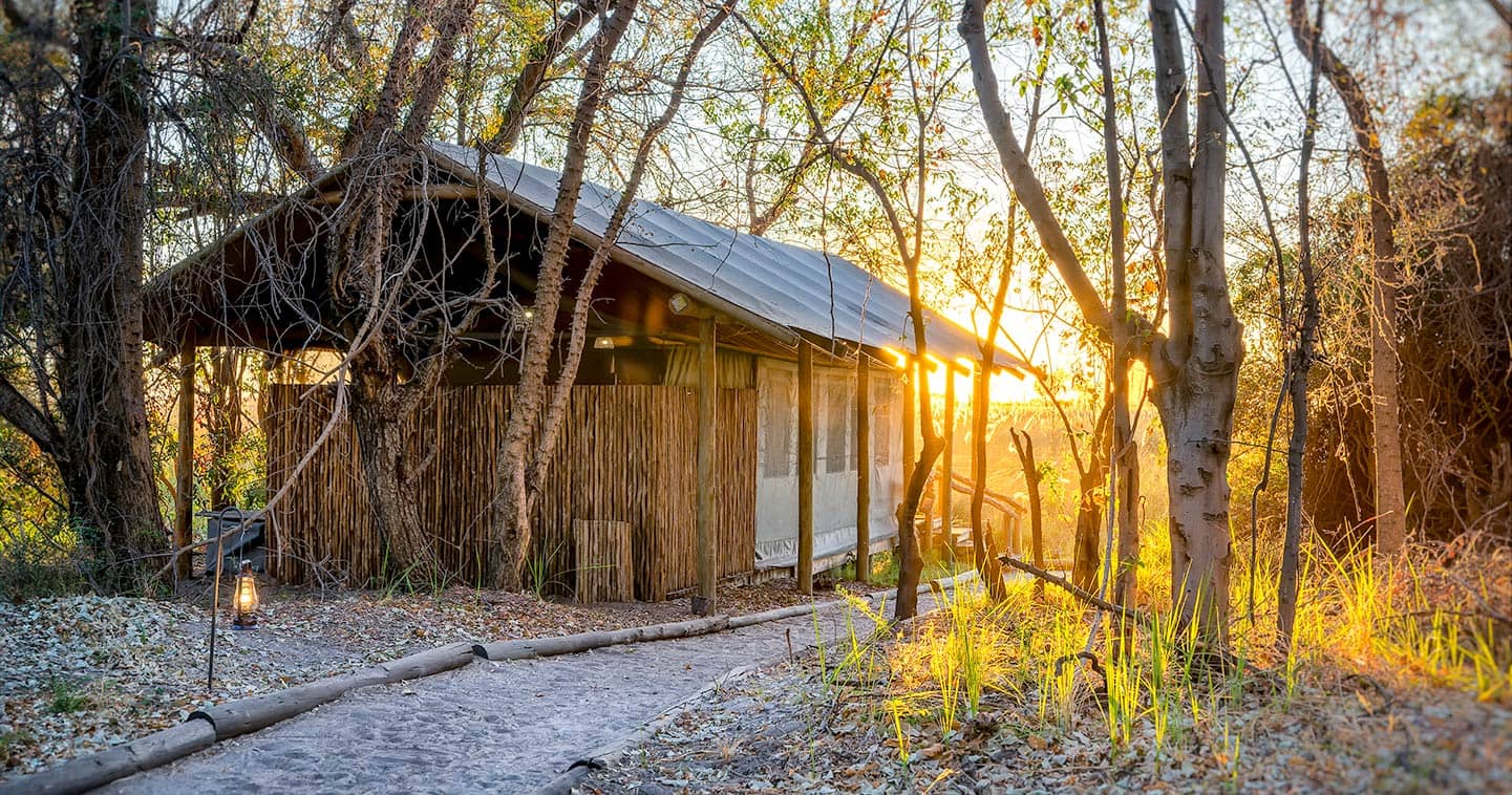 Moremi Camp Xakanaxa luxury safari tent