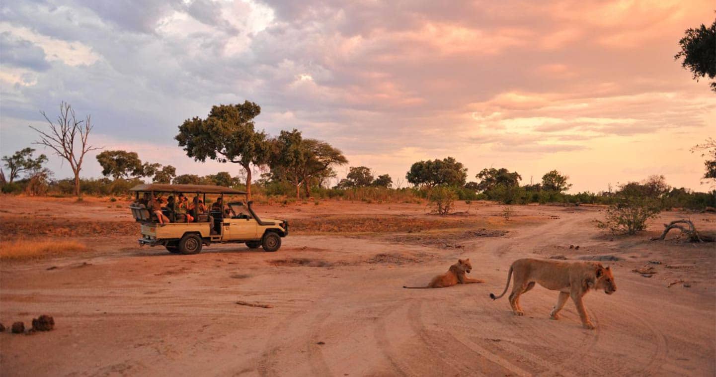 Botswana Game Drive safari in Moremi Game Reserve