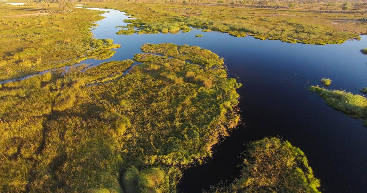 Great Landscapes at the Moremi Game Reserve