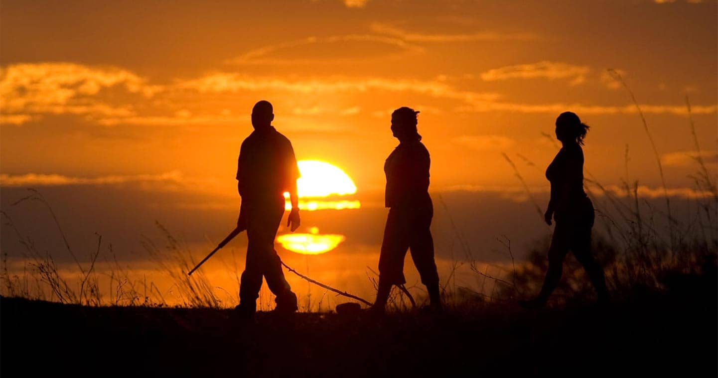 Botswana safari Moremi Game Walk