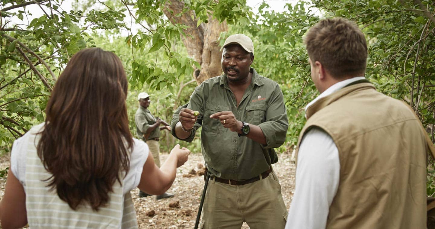 Botswana safari Moremi Game Walk