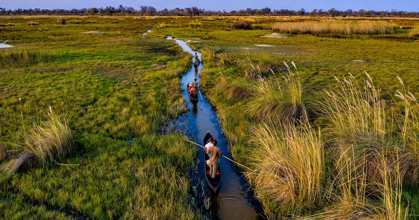 Safari in Khwai Concession near Moremi