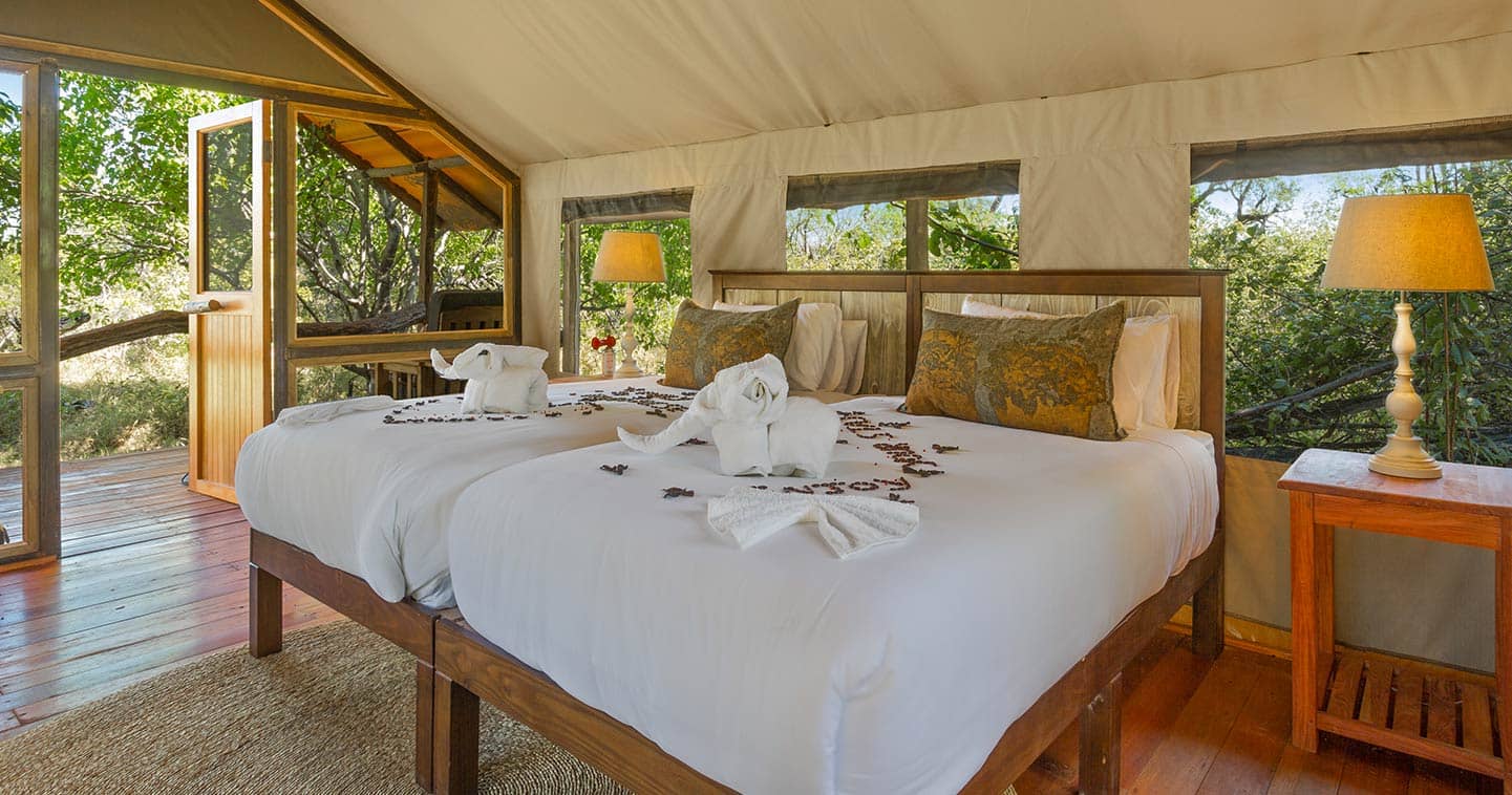 Moremi accommodation at Saguni Lodge