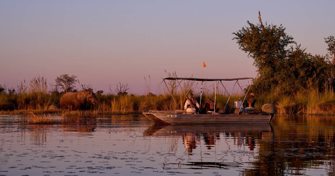 Motorboat safari near an elephant on the Xakanaxa Lagoon at dusk