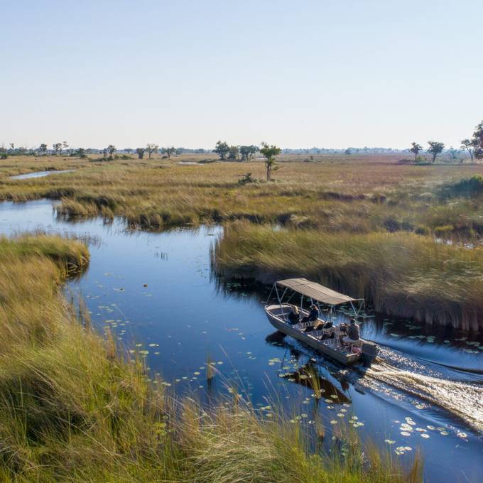 Motorboat safari on a winding channel through Moremi floodplain