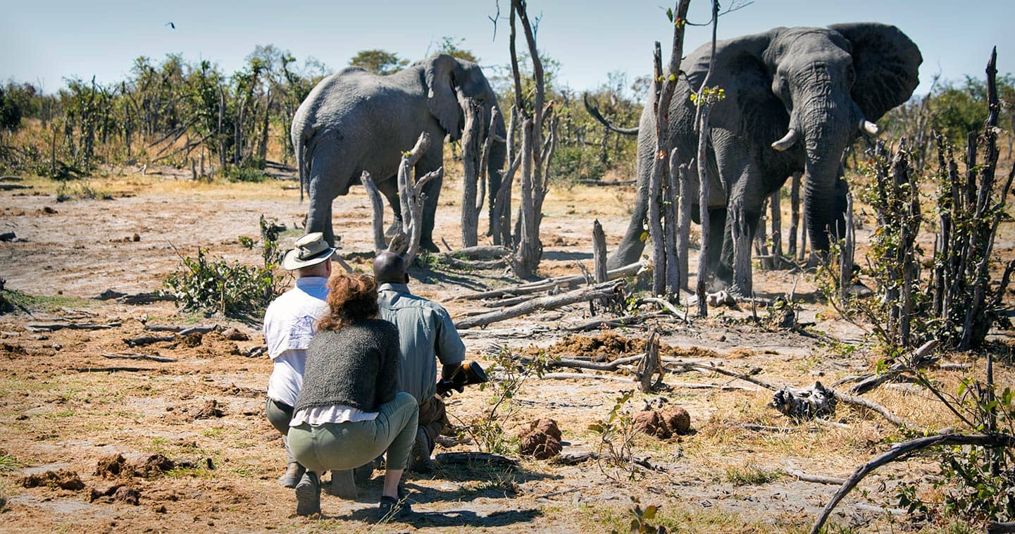 Safari nature walk at Hyena Pan