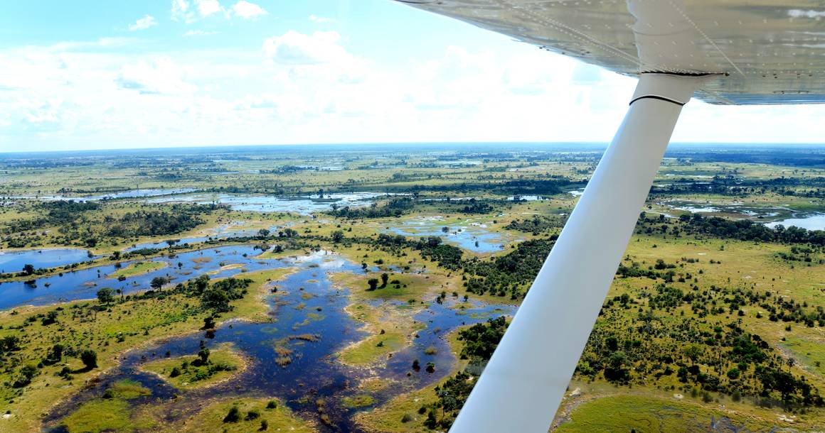 Okavango Delta waterways viewed from a light aircraft window