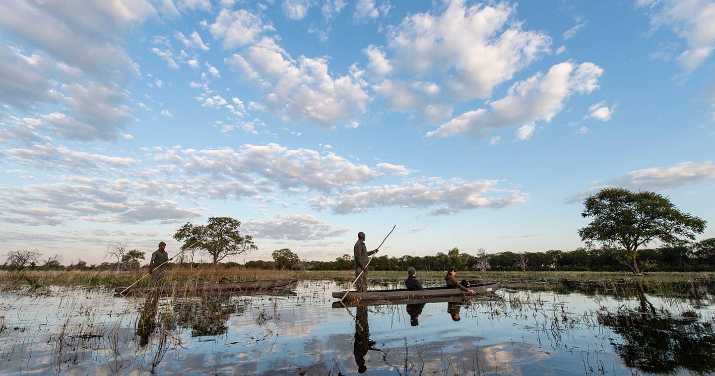 Moremi safari in Khwai Botswana