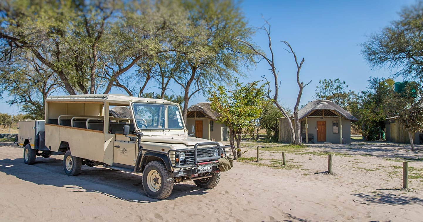 Safari in Moremi at Khwai Guest House