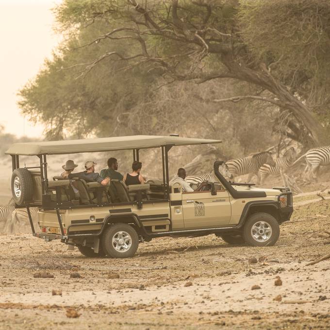 Safari vehicle in a zebra herd at Makgadikgadi in golden dust