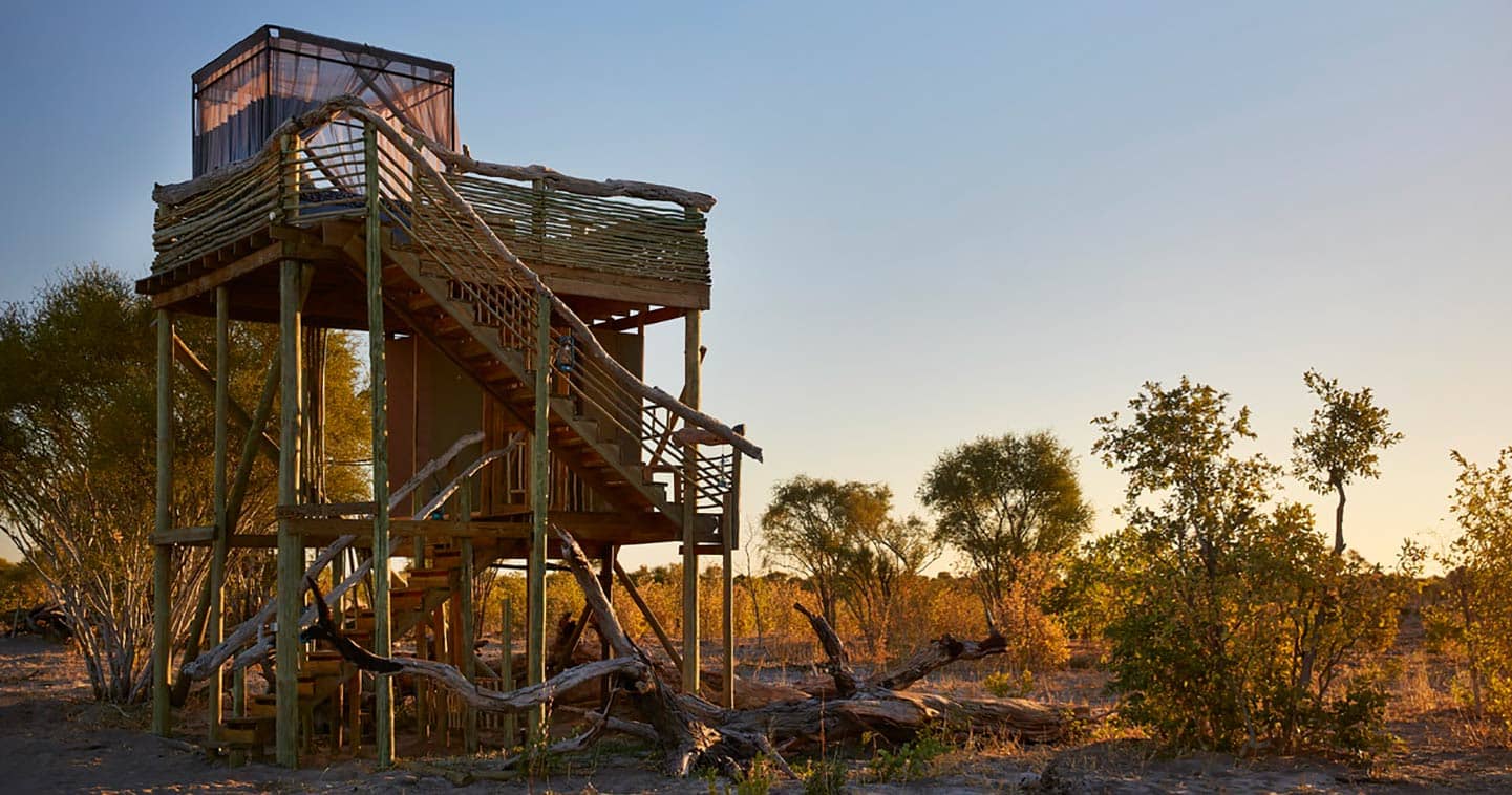 Skybeds offers treehouse accommodation in Moremi