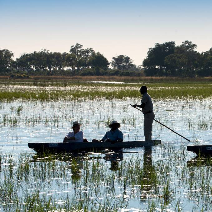 Two mokoros with guides poling guests through Khwai backwaters