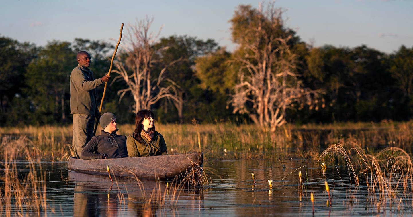 Enjoy a wildlife safari in Moremi at Sable Alley