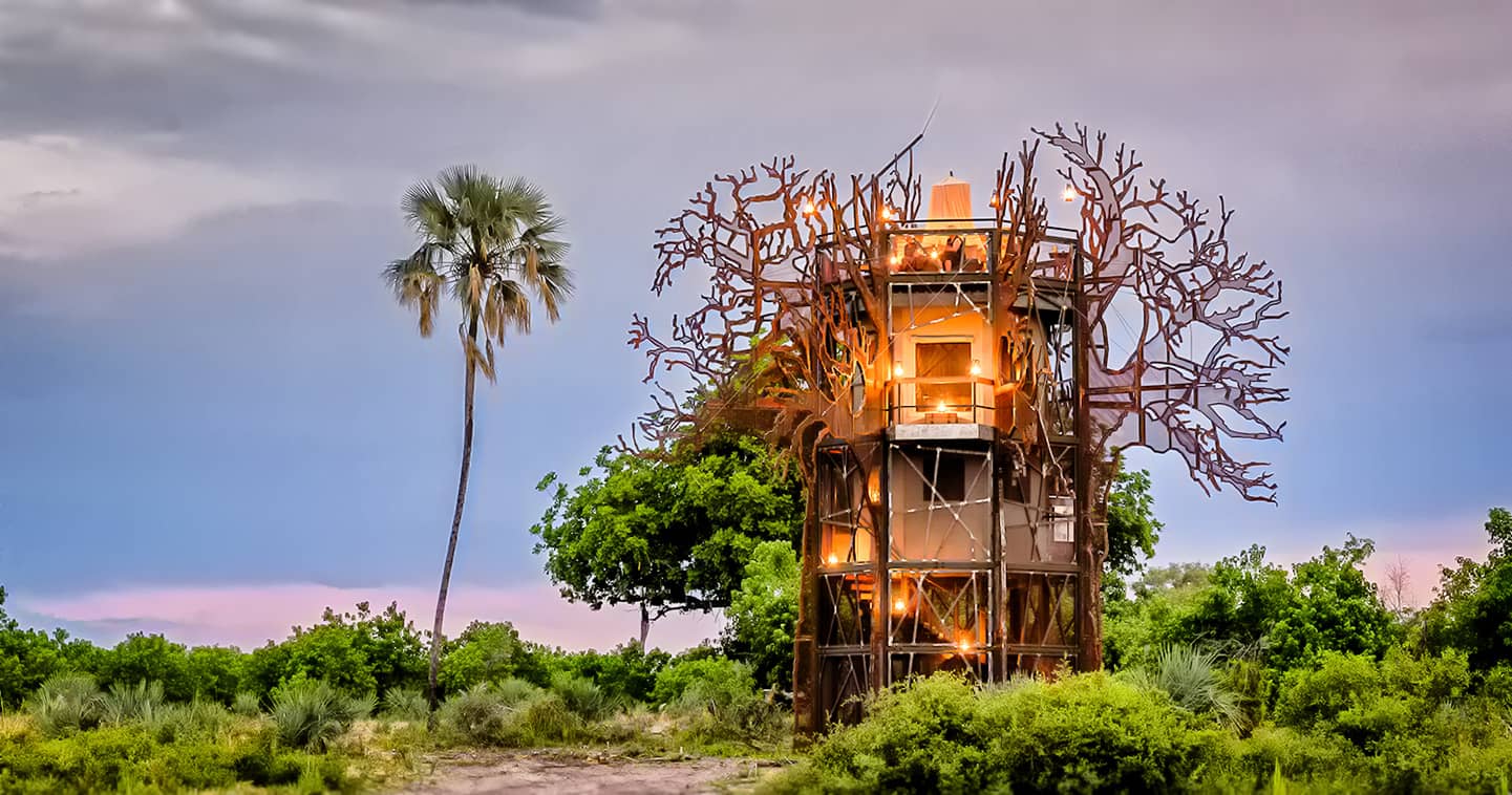 A night out in the Baobab treehouse at Xigera Lodge